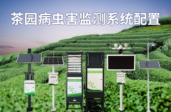 茶园病虫害监测系统