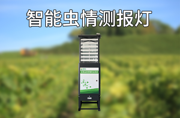 自动识别,实时预警,智能虫情测报灯助力田间生产