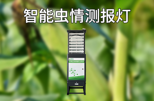 自动识别,实时预警,智能虫情测报灯助力田间生产