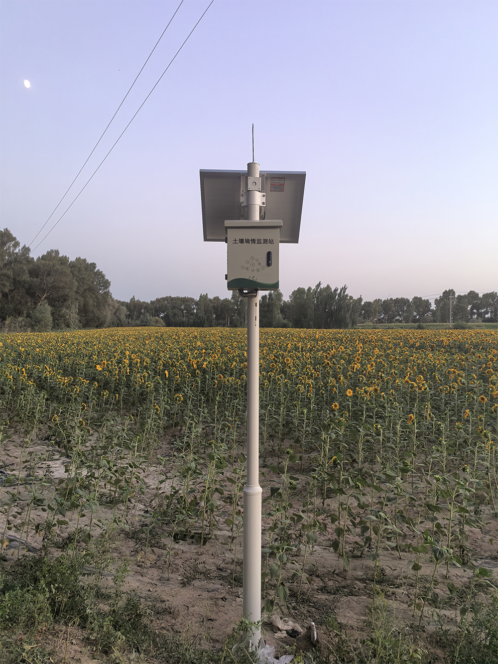 土壤墑情監(jiān)測站：精準感知土壤水分，賦能智慧農(nóng)業(yè)灌溉